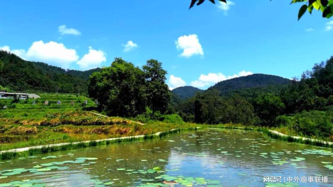 专业抖音自助下单平台：抖音订单服务新选择指南_KS在线业务24小时免费下单