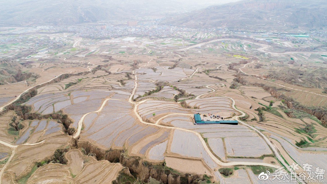 抖音涨双击秒涨在线