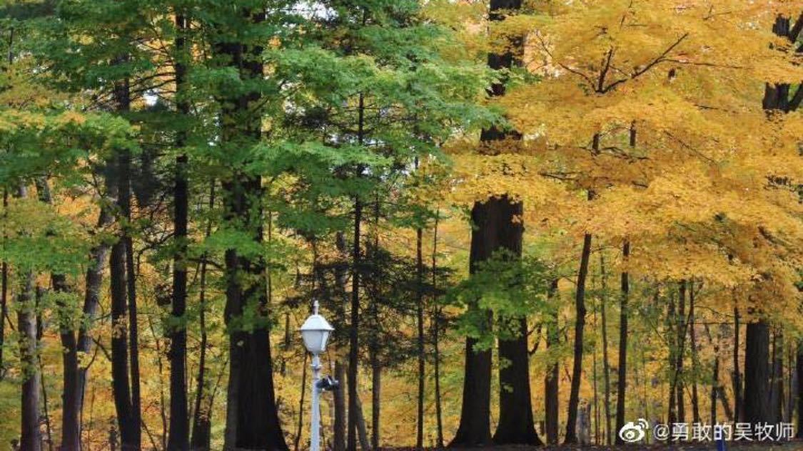 不久前微博推广高端化定制您的品牌官网:短视频推广与账号运营的一站式服务,抖音在线粉丝下单：优化粉丝经济提升自媒体互动转化策略